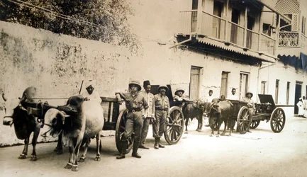 Canons britanniques récupérés encore utiles, Zanzibar, 1914